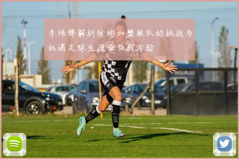 李玮锋解析徐彬加盟狼队的挑战与机遇足球生涯面临新考验