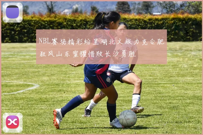 NBL赛场精彩纷呈湖北文旅力克合肥狂风山东蜜獾惜败长沙勇胜