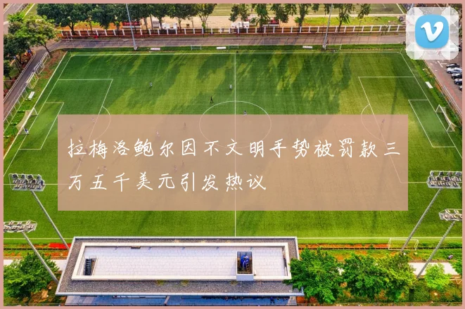拉梅洛鲍尔因不文明手势被罚款三万五千美元引发热议