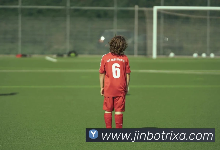 金博体育APP 封面图